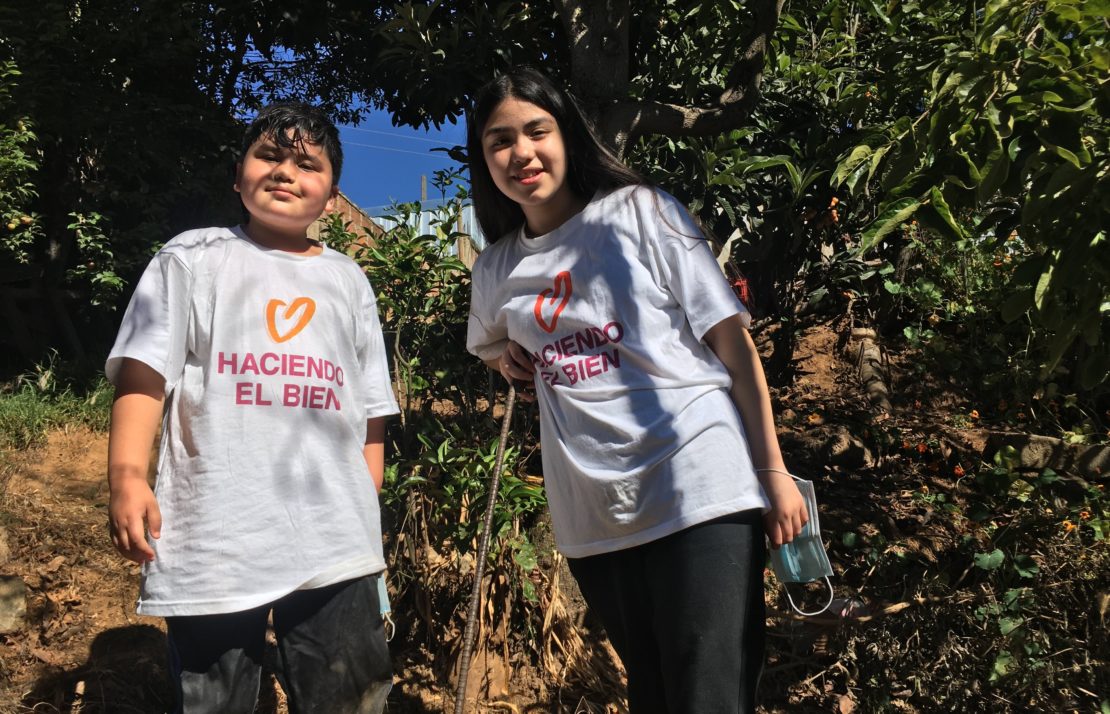 cleanup of common spaces in the ohiggins neighborhood